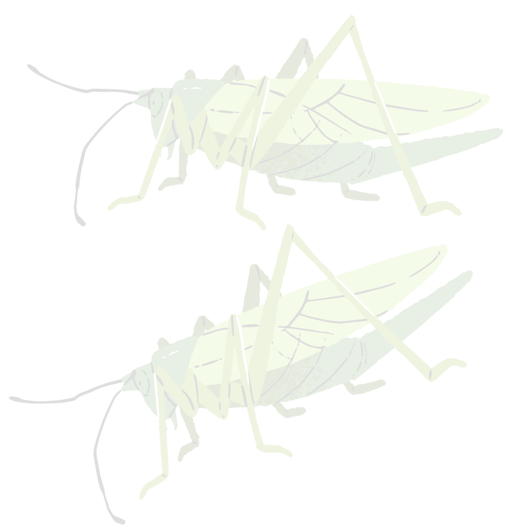 How to start a cricket farm (3)