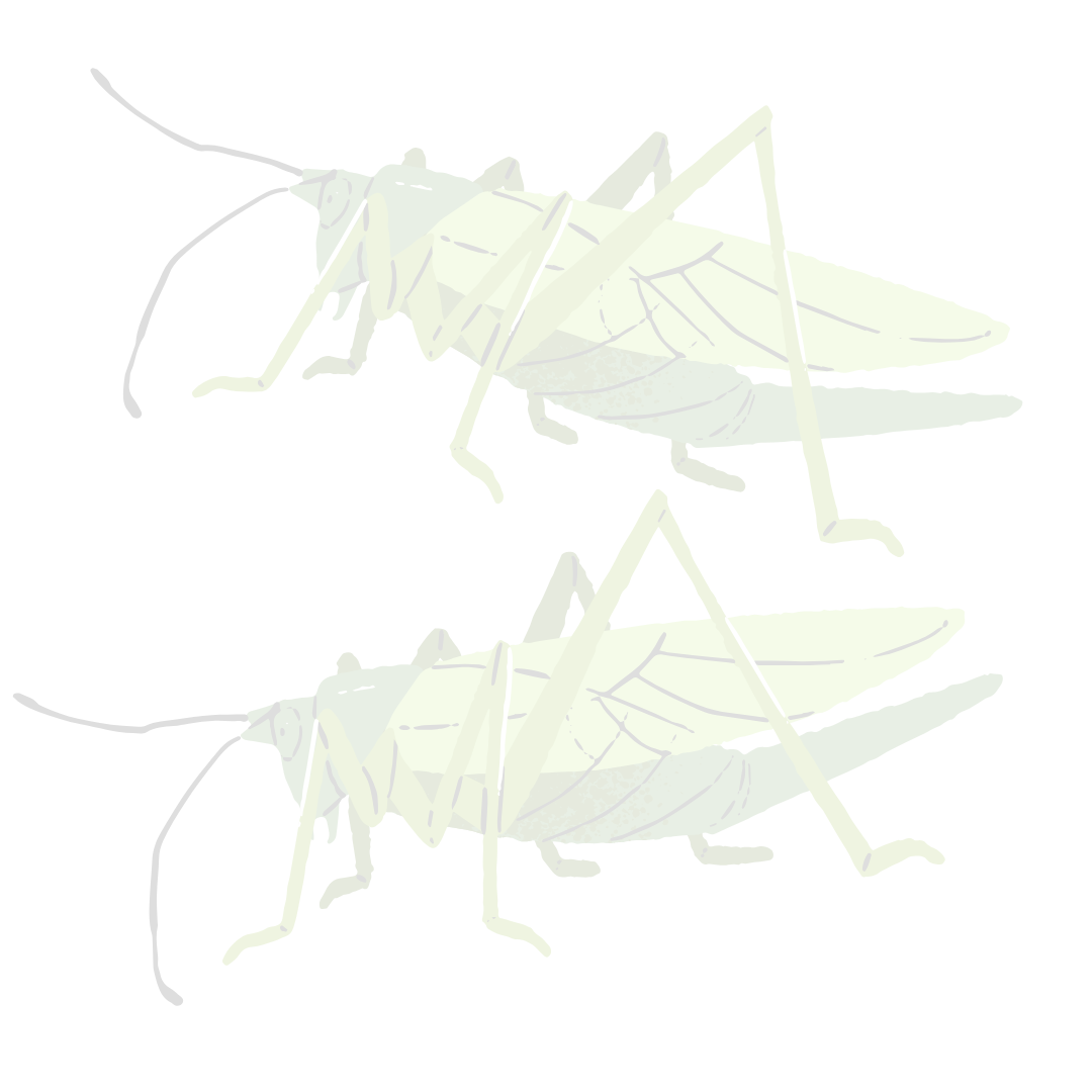 How to start a cricket farm (4)